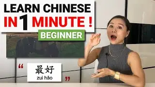 Learn Chinese IN 1 MINUTE with AOE ChinEase! Beginner Level!