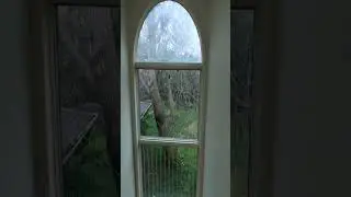 Abandoned 80s Toronto Mansion 