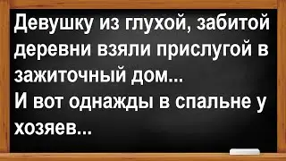Девушку из глухой, забитой деревни взяли прислугой. Анекдоты! Юмор! Позитив!