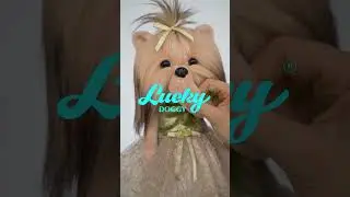 Игрушка Lucky Yoyo LD2/064: Роскошь с каркасом
