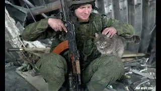 Б.А.У - Котята(СВО)