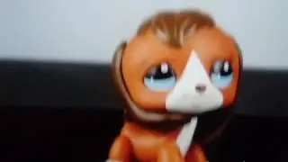 Adeliya LPS J Si Cat (идёт)