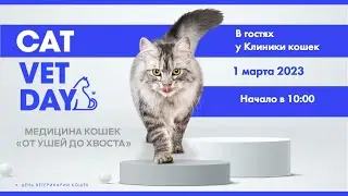 Медицина кошек «От ушей до хвоста»