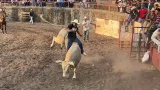 Comala Jalisco  fiestas taurinas