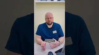 Когда и как вакцинировать котенка. Точная информация от инфекциониста