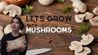Starting a Mushroom Grow!