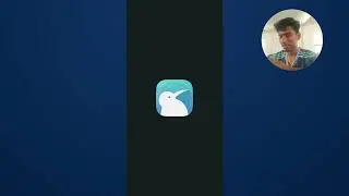 how to pin extension in kiwi browser