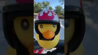 Scenic Cycling in Oldsmar, Florida- 1 Minute Tour #travel #travelvlog #bicycle #florida #travelvideo