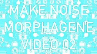 Make Noise - Morphagene #02 - Quick Recording & Killer Textures! 