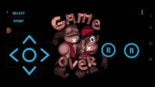 Game Over: Donkey Kong Country (GBC)