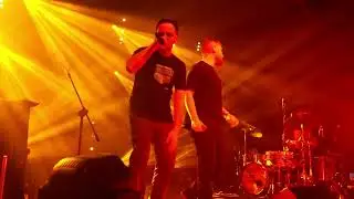 Łona x Konieczny x Krupa - Żeby nie skłamać // LIVE