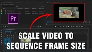 How To Scale Video To Sequence Frame Size - Adobe Premiere Pro