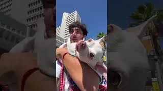 Niki Niki Niki🤪✨❤️