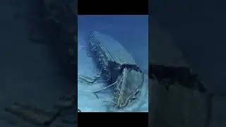 TITANIC BRITANNIC LUSITANIA CARPATHIA ESTONIA 😢😢😢😢😢😢😢😢😢😢