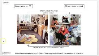 Biochemistry 101: Thermodynamics (Lecture 2 of 12)