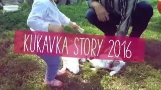 Kukavka story. Part 1 (2016)