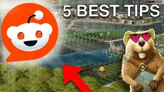 I Put Reddit’s BEST Timberborn Tips to the TEST—Beginner Edition