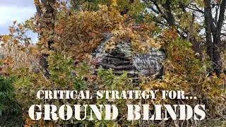 The Secret Strategy for Hunting Big Bucks in Ground Blinds