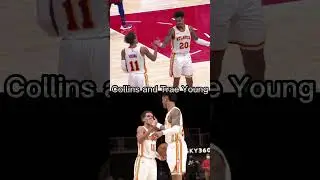 trae young mike collins #shorts