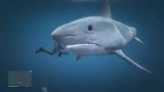 GTA 5 Michael vs shark