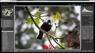 Lens Corrections in Lightroom 5
