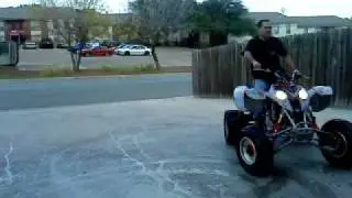 polaris predator 500cc