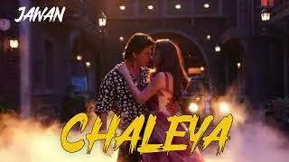 Cheleya Bollywood Song #sarukhkhan#jawan#chaleya #bollywoodsongs#nayanthara@letsfeelit3925