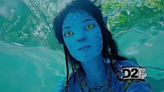 D2F
