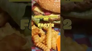 The Delicious Truth: 3 Little-Known Facts About MrBeast Burgers
