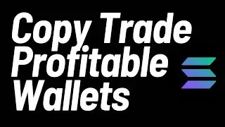 How To Find PROFITABLE Wallets To Copy Trade On Solana Using TradeWiz Bot