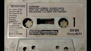 TAKE ME FOR WHAT I AM - Sunshine