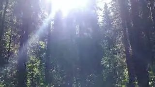 Песня "Письмо"