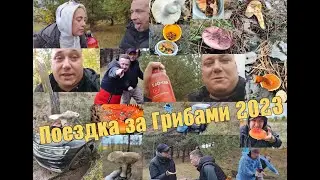 Поездка за грибами 2023 