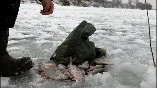 Fishing on the Oka River. Helicopters or jigless fishing.