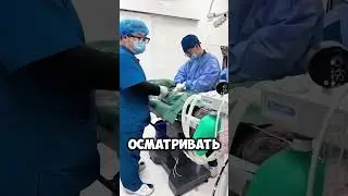 Эта собака впервые стала матерью!! 😯 #short