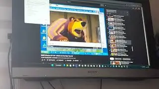 Bear Scream Like Girl Has BSOD