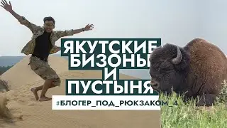 Тукуланы, бизонарий Усть-Буотама и ледник Булуус - Блогер под рюкзаком в Якутии, 4 часть