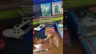 #shorts QUANDO CHEGA OS ENZOS DE VISITA KKK