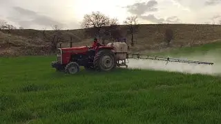 BUĞDAY OT İLACI 🌾 🧪 (massey ferguson 265 s)