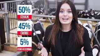 Молоко как искусство, 7 марта 2019