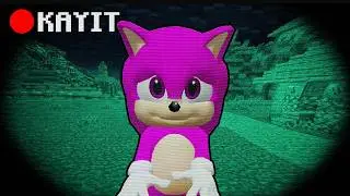 KIZ BEBEK SONİC GERÇEK Mİ? -Minecraft