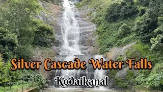 Silver Cascade Waterfalls | Kodaikanal | Tamilnadu #SultanTheRottweiler