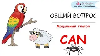 МОДАЛЬНЫЙ ГЛАГОЛ CAN / ОБЩИЙ ВОПРОС