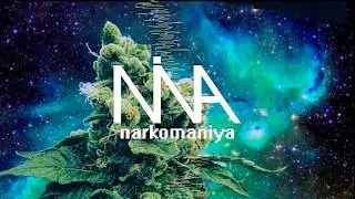 Ṅin▲&N▲rkoman!y▲ -  PUT ME (Audio)