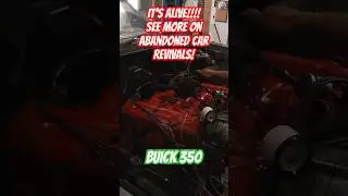 Abandoned Buick 350 first start in its new home! #mechanic #classic #buickskylark #restoration