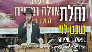 נחלת שבט לוי בגאולה השלימה