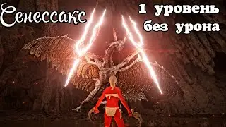 Древний дракон Сенессакс без урона на 1 уровне DLC ELDEN RING