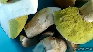 За грибами...