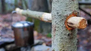 Bushcraft Joinery - COOLEST POT HANGER EVER