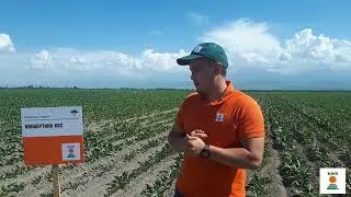 Знакомство с Демо участком, Сокулукский район.